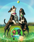 12-Month Flea & Tick Repellent Pendant for Dogs | All-Natural, Waterproof, Chemical-Free