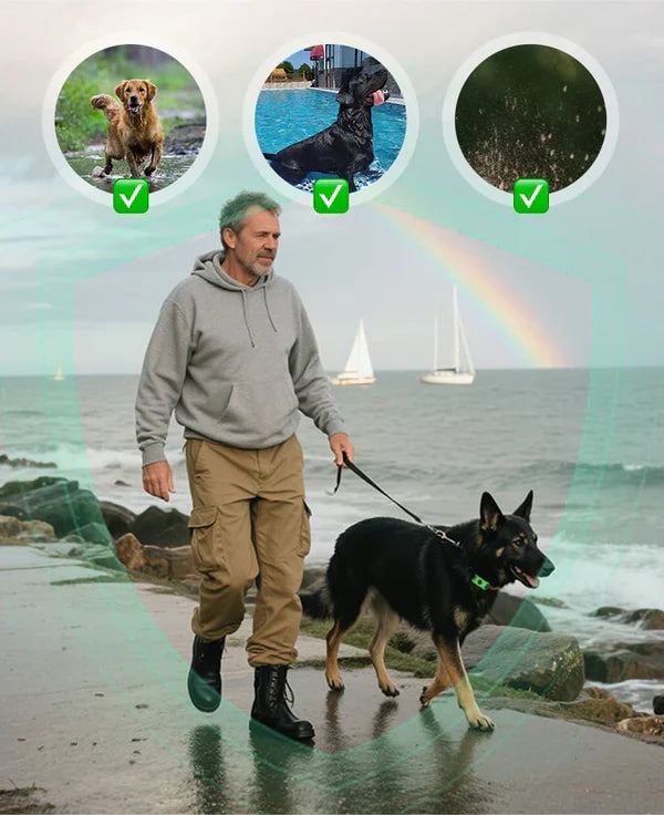 12-Month Flea & Tick Repellent Pendant for Dogs | All-Natural, Waterproof, Chemical-Free